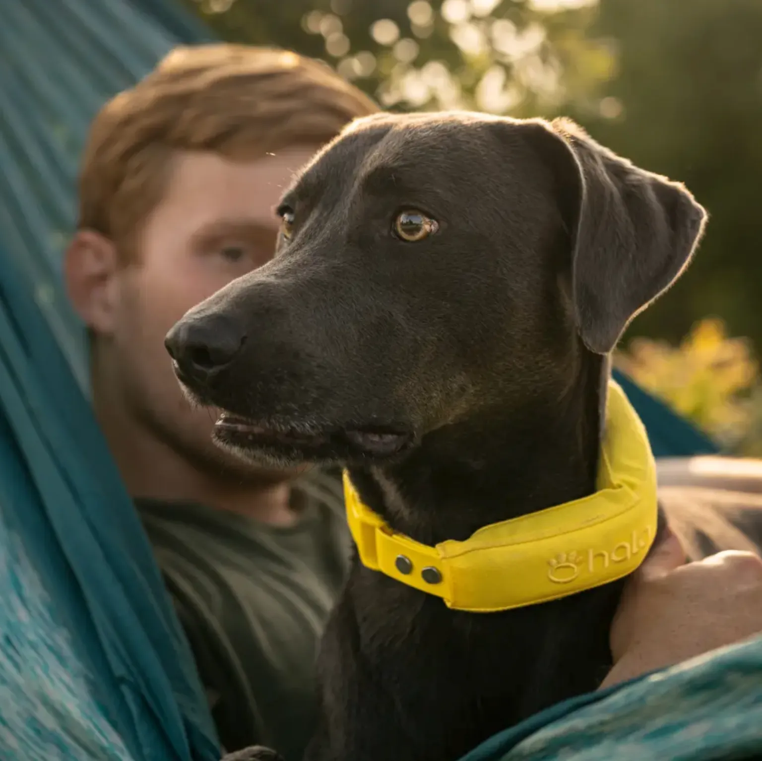 Your Backyard, Now Everywhere