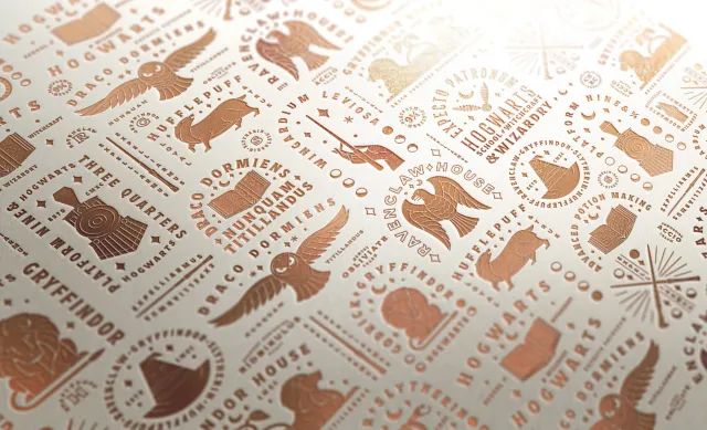 Harry Potter Packaging Recast